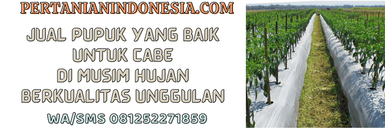 jual,murah,terjangkau,toko online,pertanian indonesia